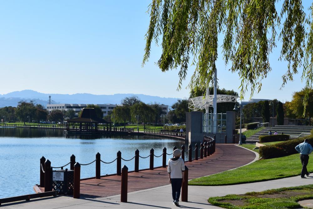 Parks And Water | Foster City California